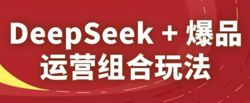 DeepSeek+爆品运营组合玩法，2025淘系精品课-资源教程须哥