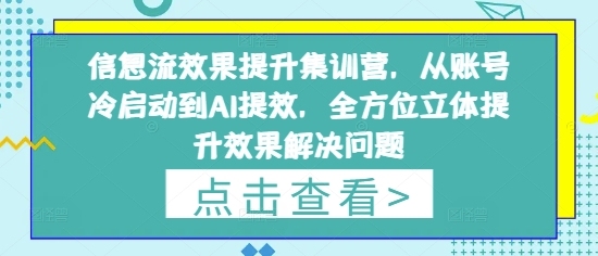 信息流效果提升集训营，从账号冷启动到AI提效，全方位立体提升效果解决问题-资源教程须哥