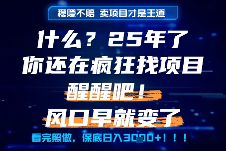什么？25年你还在疯狂找项目做，醒醒吧，看完这些你全都懂了！【揭秘】-资源教程须哥