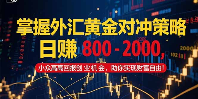 掌握外汇黄金对冲策略，日赚 800 - 2000，小众高回报创业机会，助你实...-资源教程须哥