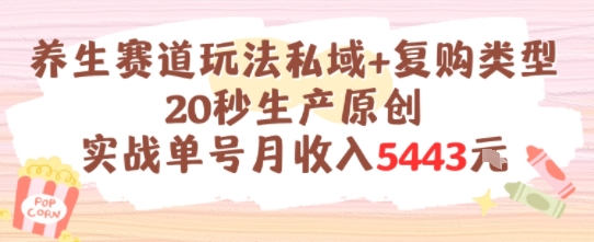 养生赛道玩法私域+复购类型，20秒生产原创实战单号月收入5k+-资源教程须哥