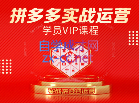 推易电商·拼多多实战运营课(更新2025月)-资源教程须哥