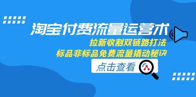 淘宝付费流量运营术，拉新收割双链路打法，标品非标品免费流量撬动秘诀-资源教程须哥