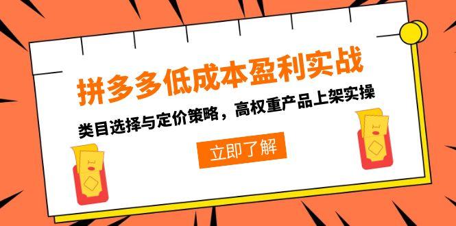 拼多多低成本盈利实战，类目选择与定价策略，高权重产品上架实操-资源教程须哥