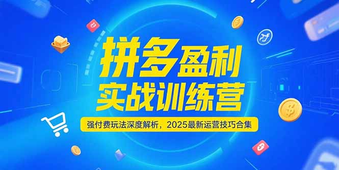 拼多多盈利实战训练营，强付费玩法深度解析，2025运营技巧合集-更新6月-资源教程须哥