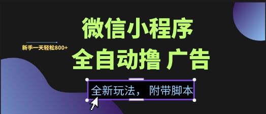 微信小程序全自动撸广告项目，彻底解决没流量的问题，新手一天8张+【揭秘】-资源教程须哥