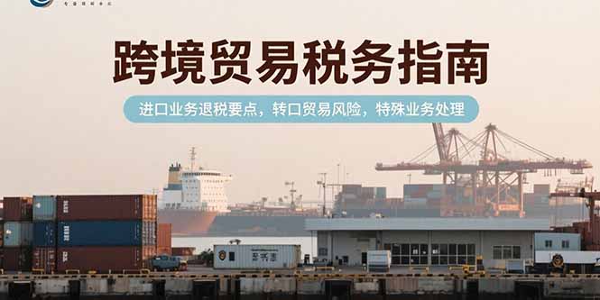 跨境贸易税务指南，进口业务退税要点，转口贸易风险，特殊业务处理-资源教程须哥