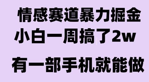 情感暴力掘金项目，新人操作一周挣了2W，长期稳定小白可做【揭秘】-资源教程须哥