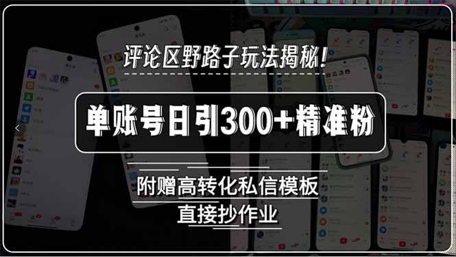 评论区野路子玩法揭秘！单账号日引300+精准粉，附赠高转化私信模板，直...-资源教程须哥