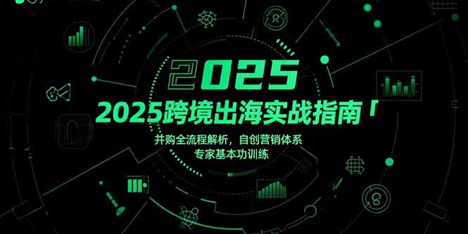 2025跨境出海实战指南，并购全流程解析，自创营销体系，专家基本功训练-资源教程须哥
