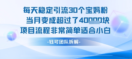 每天稳定引流30个人 当月变成超过了4个W项目流程非常简单适合小白-资源教程须哥