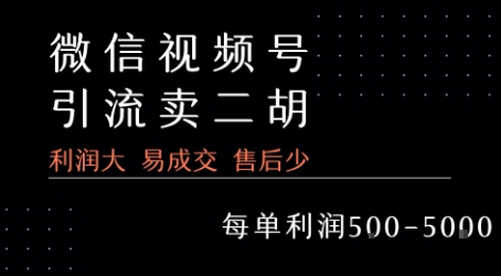 视频号卖二胡教程，利润大 易成交 售后少，一单利润5张+-资源教程须哥