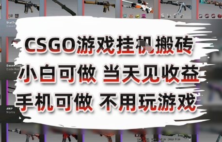 CSGO游戏挂G搬砖，小白纯手机即可操作，不用电脑打游戏，日入3张+，副业网创项目【揭秘】-资源教程须哥
