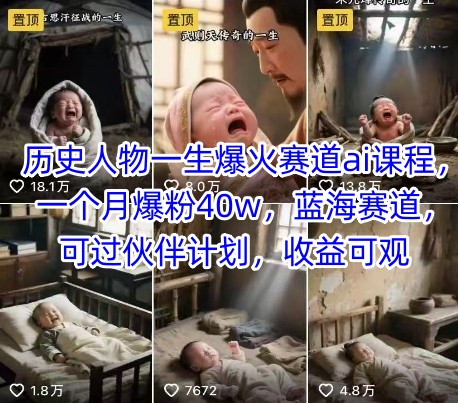 历史人物一生爆火赛道ai课程，一个月爆粉40w，蓝海赛道，可过伙伴计划，收益可观-资源教程须哥