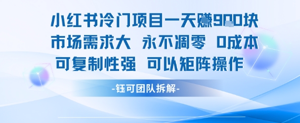 小红书冷门项目一天收益9张，市场需求大，0成本，可复制性强可以矩阵操作-资源教程须哥