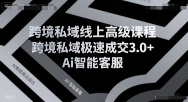 跨境私域线上高级课程，跨境私域极速成交3.0+Ai智能客服-资源教程须哥