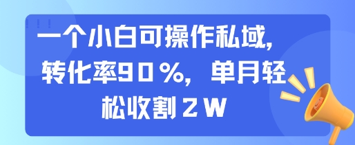 一个小白可操作私域，转化率90%，单月轻松收割2W-资源教程须哥