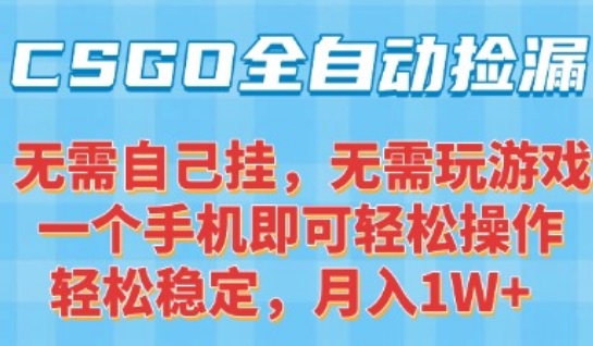 CSGO自动捡漏项目，最新独家玩法，一个手机可操作，新手小白轻松月入1W+，操作简单易上手【揭秘】-资源教程须哥