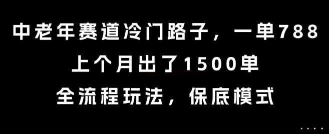 中老年赛道冷门路子，一单788，上个月出了1500单，全流程玩法，保底模式【揭秘】-资源教程须哥