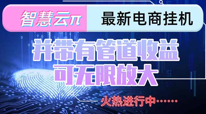 智慧云π电脑挂机单机每天收益300—500+ 并带有团队管道收益 可无限放大-资源教程须哥