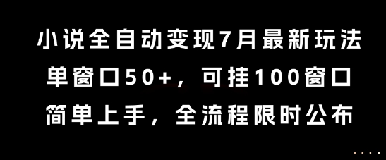 小说全自动变现7月玩法，单窗口50+，可挂100窗口，简单上手，全流程限时公布【揭秘】-资源教程须哥
