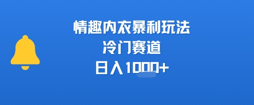 情趣内衣暴利玩法，冷门赛道，日入1k+-资源教程须哥