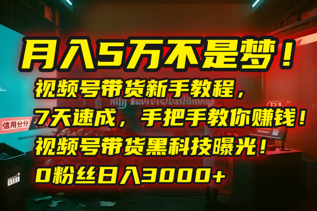 月入5万不是梦！视频号带货新手教程，7天速成，手把手教你赚钱！视频号...-资源教程须哥