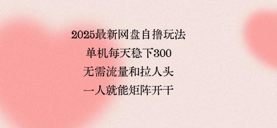 2025最新网盘自撸玩法，单机每天稳下3张，无需流量和拉人头，一个人就可轻松矩阵，全网独一份【揭秘】-资源教程须哥