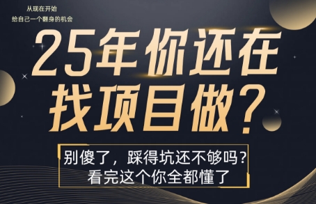 25年，你还在疯狂的找项目吗？别傻了，看完这个你都懂了【揭秘】-资源教程须哥