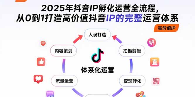 2025年抖音IP孵化运营全流程，从0到1打造高价值抖音IP的完整运营体系-资源教程须哥