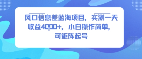 风口信息差蓝海项目，实测一天收益4k+，小白操作简单，可矩阵起号-资源教程须哥