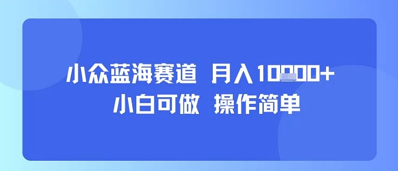 小众蓝海赛道，小白可做，操作简单，每天30分钟，月入1W+-资源教程须哥