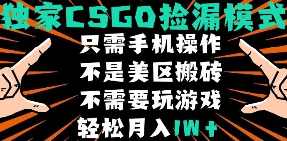 CSGO自动捡漏项目，最新独家玩法，不是美区搬砖，不需要了解和玩游戏，新手小白轻松月入1W+【揭秘】-资源教程须哥
