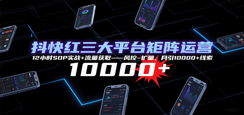 抖快红三大平台矩阵运营，12小时SOP实战+流量获取-风控-扩量，月引10000+线索-资源教程须哥