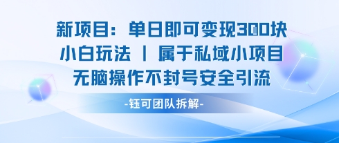 新项目单日即可变现3张的小白玩法无脑操作不封号安全引流-资源教程须哥