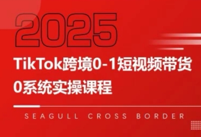 大亿老师·TikTok跨境0-1短视频带货-资源教程须哥