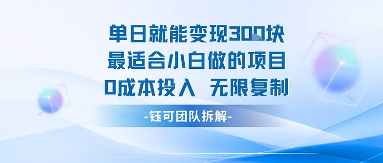 单日就能变现3张最适合小白做的项目0成本投入 无限复制-资源教程须哥