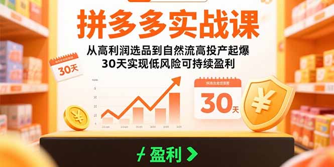 拼多多实战课：从高利润选品到自然流高投产起爆 30天实现低风险可持续盈利-资源教程须哥
