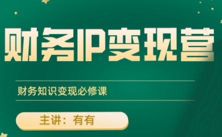 有有老师·财务IP变现营，财务知识变现必修课-资源教程须哥
