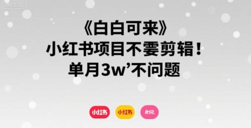 小白可来 小红书项目不需要剪辑 单月3w不是问题-资源教程须哥