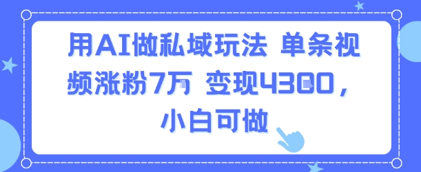 用AI做私域玩法，单条视频涨粉7W变现4.3k，小白可做-资源教程须哥