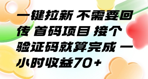 一键拉新 不需要回传 首码项目 接个验证码就算完成 一小时收益70+【揭秘】-资源教程须哥