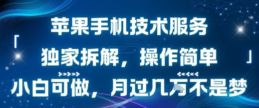 苹果手机技术服务，独家拆解，操作简单，小白可做，月过1W不是梦-资源教程须哥