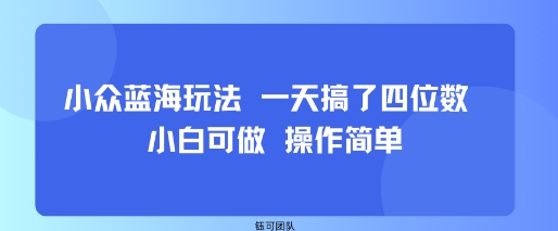 小众蓝海玩法 一天搞了四位数 小白可做 操作简单-资源教程须哥