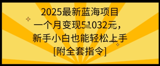 2025最新蓝海项目一个月变现1w+新手小白也能轻松上手【附全套指令】-资源教程须哥