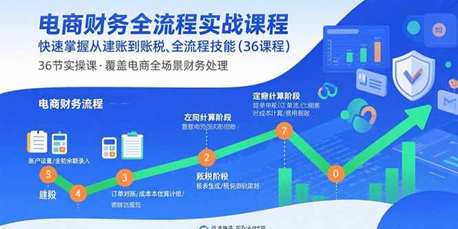 电商财务全流程实战课程：快速掌握从建账到报税的全流程技能(36节课-资源教程须哥