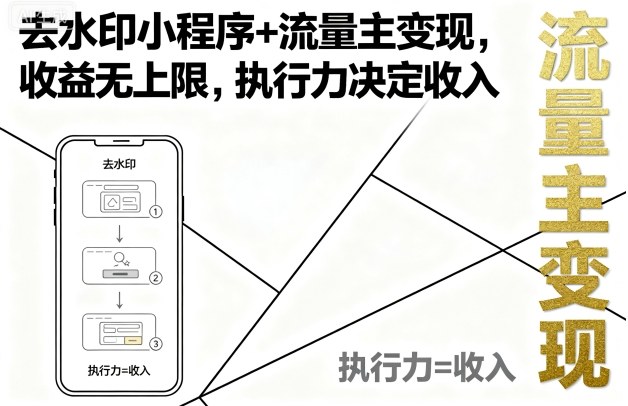去水印小程序+流量主变现，收益无上限，执行力决定收入-资源教程须哥