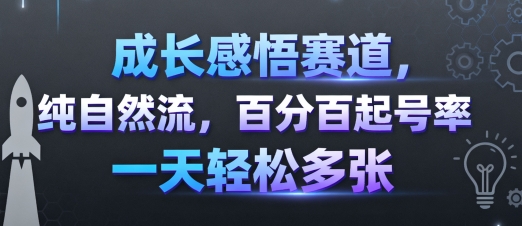 成长感悟赛道，纯自然流，百分百起号率 一天轻松多张-资源教程须哥