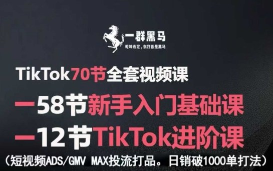 TikTok全套视频课，新手入门+进阶课，短视频ADS-GMV MAX投流打品，日销破1000单打法-资源教程须哥