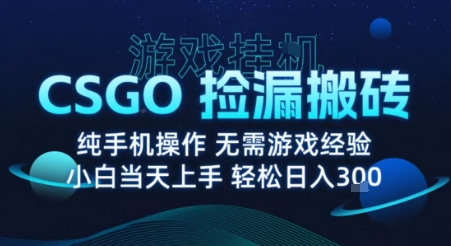 8月最新游戏搬砖，CSGO纯挂G，不需要玩游戏，实现真挂G，月入1W+【揭秘】-资源教程须哥
